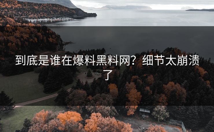 到底是谁在爆料黑料网？细节太崩溃了