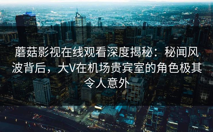 蘑菇影视在线观看深度揭秘：秘闻风波背后，大V在机场贵宾室的角色极其令人意外