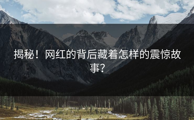 揭秘！网红的背后藏着怎样的震惊故事？