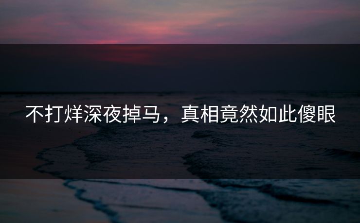 不打烊深夜掉马，真相竟然如此傻眼