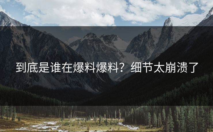到底是谁在爆料爆料？细节太崩溃了