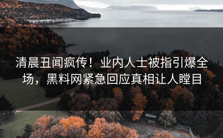 清晨丑闻疯传！业内人士被指引爆全场，黑料网紧急回应真相让人瞠目